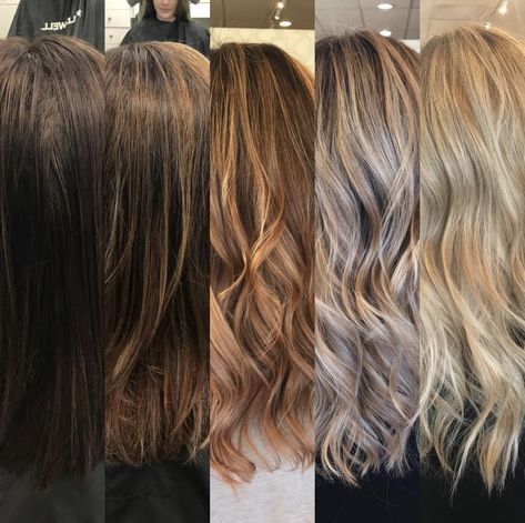 From brunette to blonde First Session Going Blonde, Black To Blonde Transition, From Black To Blonde Hair Transition, Brunette To Blonde Transition, Going Blonde From Brunette, From Brunette To Blonde, Black To Blonde Hair, Undercut Long Hair, Brunette Hairstyles