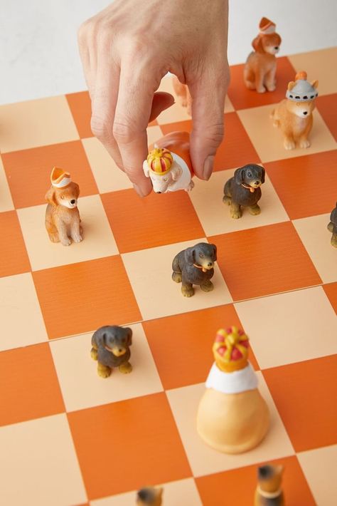 For the Chess Player: Cats vs. Dogs Chess Set Cats Vs Dogs, Gifts For Young Men, Musical Gifts, Chess Gifts, Cat Vs Dog, Shape Games, Chess Players, Cute Presents, Chess Pieces