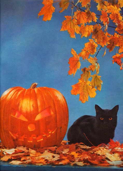 60s Magazine, 1960s Halloween, Doodles Halloween, October Aesthetic, Halloween Posters, Halloween Costumes 2022, Fall Vintage, Halloween This Year, Halloween Vibes