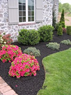 Small Front Yard Landscaping, Small Front Yard, Front Yard Design, Desain Lanskap, Front Landscaping, Low Maintenance Landscaping, Garden Shrubs, Walled Garden, Landscape Designs