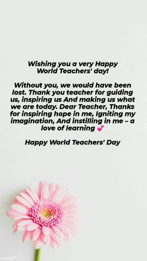 Quotation For Teachers Day, Happy Teachers Day Letter, Message To Teacher From Student, Teachers Day Message From Student, Thoughts For Teachers Day, Jay Drawing, Happy Teachers Day Message, Best Thank You Notes, Teachers Day Message