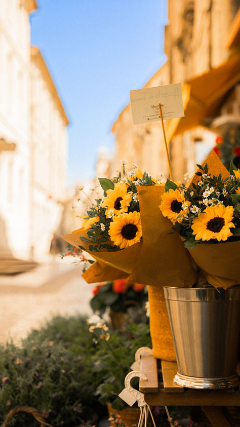 Escape the crowds this Summer and venture off the beaten path to discover some of France's hidden gems 🇫🇷 Wallpaper Sunflower, Marseille France, Boquette Flowers, Off The Beaten Path, Flower Backdrop, European Summer, Sunflower Seeds, Travel Inspo, France Travel