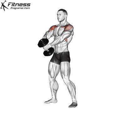 Push Workout » Workout Builder Dumbbell Front Raises, Shoulder And Trap Workout, Delts Workout, Upper Body Workout Gym, Flabby Arm Workout, Traps Workout, Best Shoulder Workout, Shoulder Mobility, Push Workout