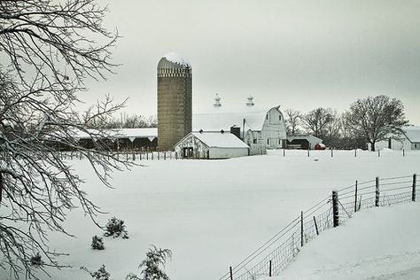 Winter Iowa Farm near Boone, IA.  We went to Boone and loved it Boone Iowa, Winter Farm, Iowa Farms, Outdoor Scenery, Farm Living, Farm Scene, Farm Barn, Sculpture Park, Red Barns