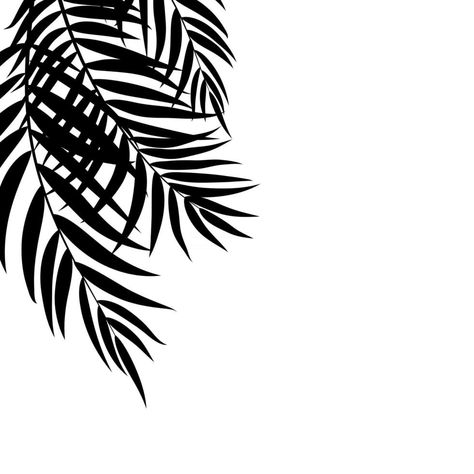 Beautifil Palm Tree Leaf Silhouette Background Vector Illustration Cabinet Restoration, Silhouette Background, Eiffel Tower Wall Art, Sun Bear, Palm Leaf Art, Palm Tree Leaf, Palm Tree Vector, Palm Tree Silhouette, Leaf Silhouette