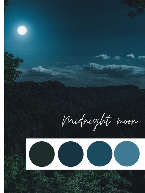 Midnight moon, color palette, photography inspo, wedding color palette, color theory Moon Colors Palette, Midnight Room Aesthetic, Lunar Color Palette, Moon Colour Palette, Moonlit Conservatory, Mystic Color Palette, Midnight Color Palette, Celestial Color Palette, Moon Color Palette