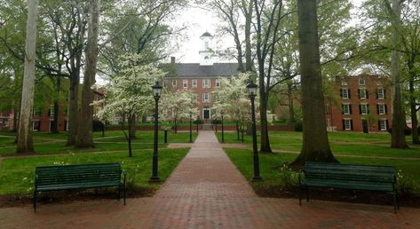 10 of the Easiest Classes at Ohio University - Humans of University Ohio University Athens, Film Analysis, Structure Of The Universe, University Dorm, College Vision Board, Communication Theory, Athens Ohio, University Dorms, College List