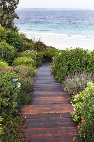 Take a trip down the garden path @ White Sands - Beach House | Hyams Beach, NSW | Accommodation. From $1100 per night. Hyams Beach, Beach Walkway, Swamp House, Beach Plants, Beach House Landscaping, Paint Reference, Beach Front House, Beach House Garden, England Cottage