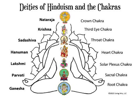 7 Chakras Gods, Chakras Names, Human Science, Shiva The Destroyer, Chakra Meanings, Temple Drawing, Chakra Mantra, Chakra Healing Meditation, Goddess Names