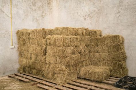 Small Hay Storage, Storage Building Ideas, Hay Storage Ideas, Horse Feed Storage, Hay Storage, Horse Hay, Goat Barn, Horse Barn Plans, Hay Barn