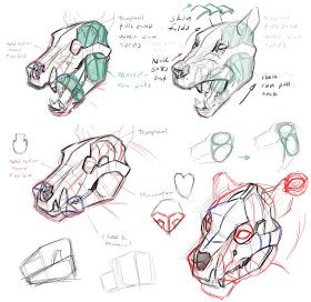 Concept Design Academy: "Animal Anatomy" with Jonathan Kuo~!! Dog Skull, Different Types Of Animals, Dog Anatomy, Anatomy Tutorial, Animal Anatomy, 강아지 그림, Animal Study, Types Of Animals, Anatomy Drawing