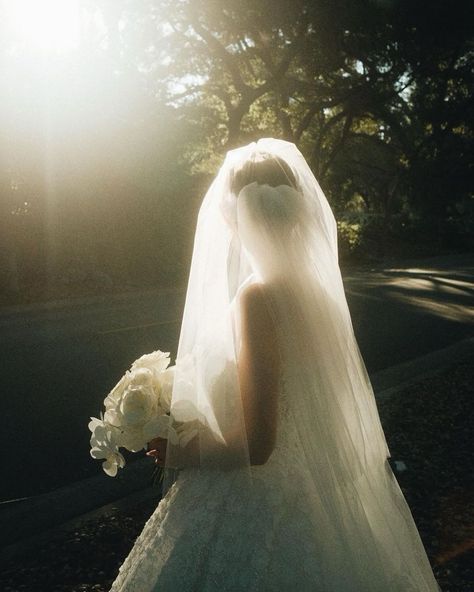 Garden Wedding Pictures Photography, Wedding Photo Film, Wedding Vintage Aesthetic, Ethereal Wedding Photography, Dreamy Wedding Photography, Wedding Photography Aesthetic, Wedding Photos Film, Artsy Wedding, Italy Wedding Photography