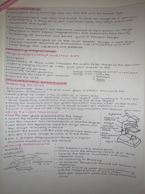 Microscopy Biology Notes, Microscope Notes Biology, Golgi Apparatus Notes, Microscope Notes, Biology Practical, Cell Microscope, Handwriting Inspo, Gcse Biology, Neet Notes