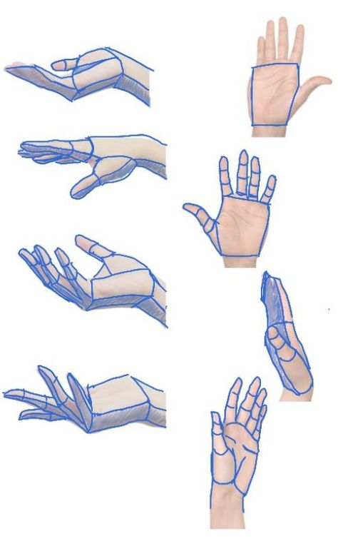 Hands Study Drawing, How To Draw Palms Hands, How To Drawing Hands, Two Hands Drawing Reference, Hand Study Sketch, How To Draw Hands Reaching Out, Hand Different Angles, Bamboo Method Drawing Hands, How To Make Hands Drawing