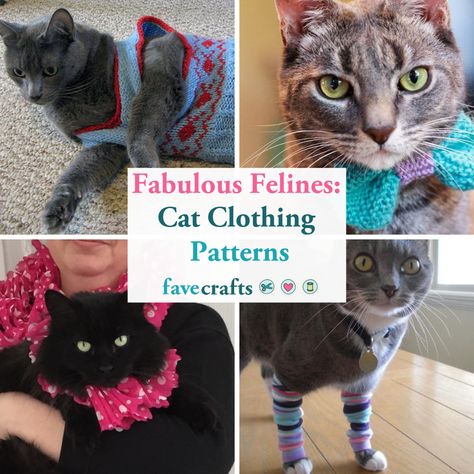 Cat lovers agree: there is nothing more precious than seeing a kitty dressed to the nines in handmade cat clothes! Who can resist a fabulous feline looking hip in a couture sweater? Is it possible not to lose your (and Santa’s) cookies over a Christmas kitten collar? Can you imagine anything sweeter than matching <a href="https://www.favecrafts.com/Crochet-Scarf-Patterns/15-Free-Scarf-Patterns" target="_blank">scarves</a> for you and your cat? <br /> <br Diy Cat Clothes Pattern, Diy Kitten Clothes, Diy Cat Clothes, Cat Sweater Pattern, Pet Clothes Patterns, Kitten Clothes, Sphynx Cat Clothes, Cat Clothing, Pictures Of Cats