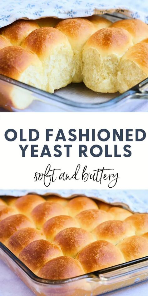 Old Fashioned Yeast Rolls Recipe, Dinner Rolls Recipe Homemade, Easy Yeast Rolls, Dinner Rolls Easy, Homemade Yeast Rolls, Yeast Rolls Recipe, Homemade Bread Recipes Easy, Homemade Rolls, Homemade Dinner Rolls