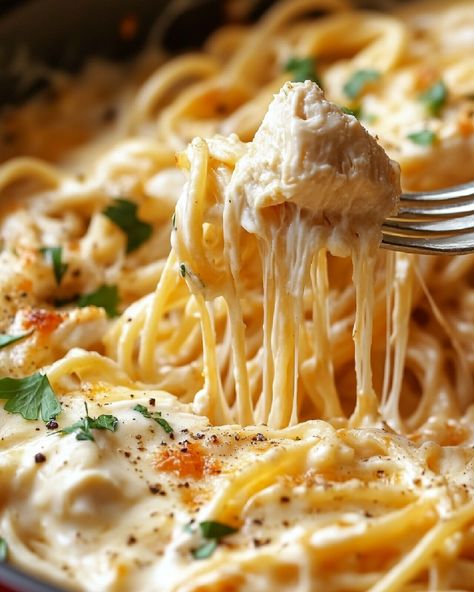 The Ultimate Guide to Perfect Chicken Spaghetti: Easy Recipe & Tips for 2024 White Spaghetti Recipe Chicken, Creamy Chicken Spaghetti Recipes, Homemade Chicken Spaghetti, Chicken Spaghetti Recipe Casserole, Chicken And Spaghetti Recipes, Southern Chicken Spaghetti Recipe, Pioneer Woman Chicken Spaghetti, White Spaghetti Recipe, White Chicken Spaghetti