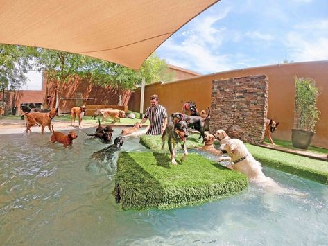 Dog Resort Pet Boarding, Dog Daycare Prices, Cage Free Dog Boarding, Dog Daycare Design Pet Resort, Pet Resort Design, Doggie Daycare Ideas Design, Dog Sanctuary Ideas, Dog Hotel Ideas Pet Resort, Boarding Kennels For Dogs