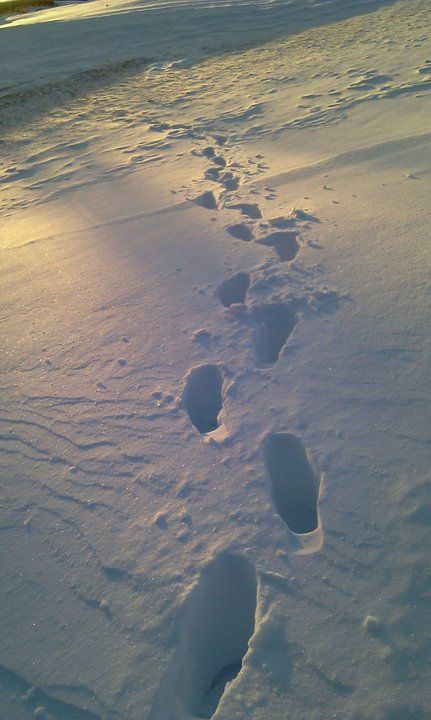 footprints in the snow Footsteps In The Snow, Footsteps In Snow, Snow Footprints, Ski Painting, Footprints In The Snow, Games Aesthetic, Snow Night, Snow Flower, Singing Monsters