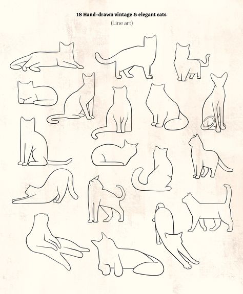 Cats Outline, Cat Outline Tattoo, Kitty Png, Cats Clipart, Cat Outline, Cat Drawing Tutorial, Vintage Cats, Arte Van Gogh, American Shorthair