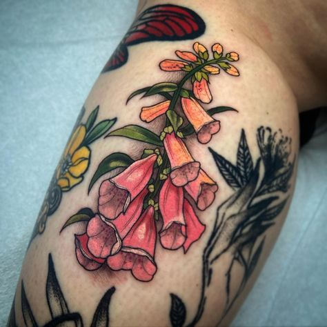 Foxgloves for Cynthia 💕 ♡ ♡ ♡ ♡ ♡… | Instagram Fox Gloves Tattoo, Neo Traditional Flower Tattoo Design, Neotraditional Fox Tattoo, Neotraditional Flowers, Neotraditional Flower Tattoo, Foxglove Tattoo, Traditional Tattoo Flowers, Nature Tattoo, Fox Tattoo