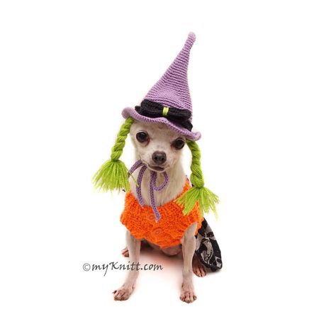 Poodle Clothes, Dog Witch Costume, Chihuahua Costumes, Diy Pet Costumes, Witch Dog, Crochet Dog Hat, Cute Dog Costumes, Yorkie Clothes, Big Dog Clothes