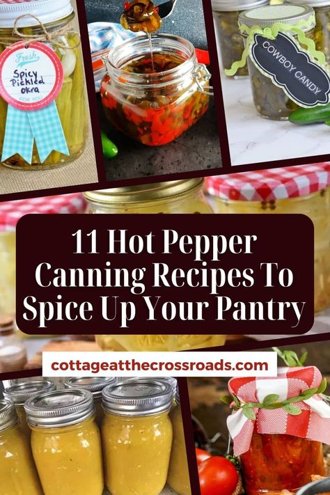 Canning Recipes For Hot Peppers, Pickled Hot Peppers Canning, Canning Hot Peppers Recipes, Peppers Canning Recipes, Pepper Canning Recipes, Hot Peppers Recipes, Canned Hot Peppers Recipes, Can Hot Peppers, Canning Hot Peppers