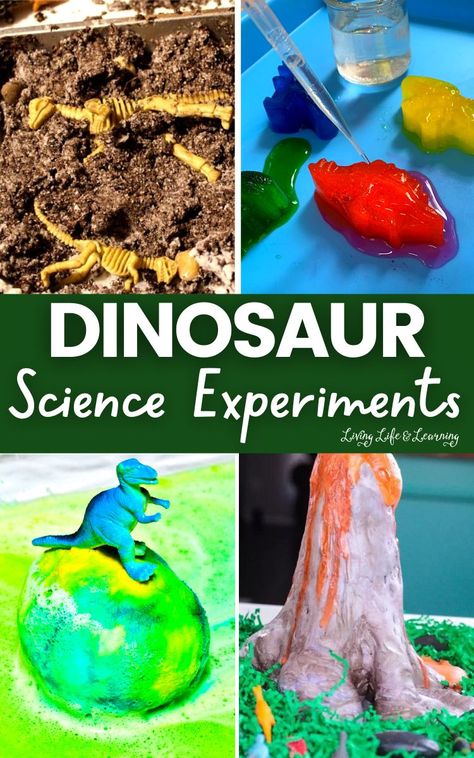 Dinosaur Science Experiments, Dinosaur Activities For Kids, Dinosaurs Kindergarten, Dinosaur Science, Dinosaur Unit Study, Crafts Dinosaur, Dinosaur Books For Kids, Homeschool Science Lessons, Dinosaur Lesson