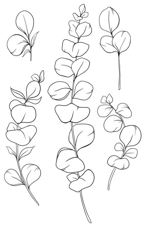 Eucalyptus Outline, Eucalyptus Line Drawing, Drawing Eucalyptus, Chalkboard Art Diy, Plant Doodle, Drawing Scenery, Line Art Flowers, Botanical Line Drawing, Tattoo Outline Drawing