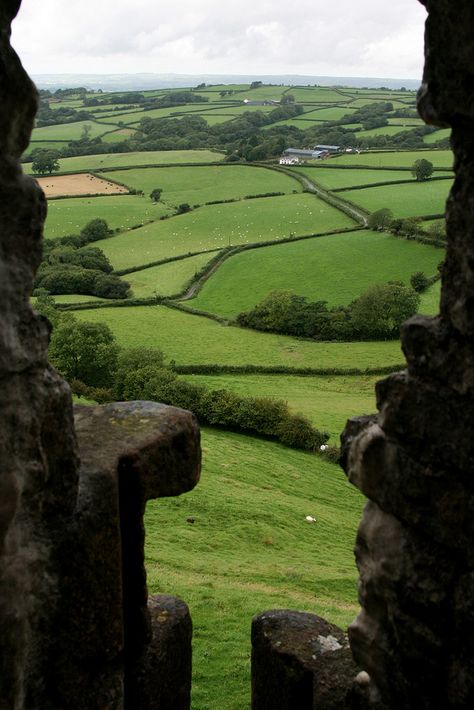 Wales Nature, Welsh Landscape, Forest Paths, Welsh Recipes, Castles In Wales, Baby Sheep, Landscape View, Wales Uk, Irish Sea