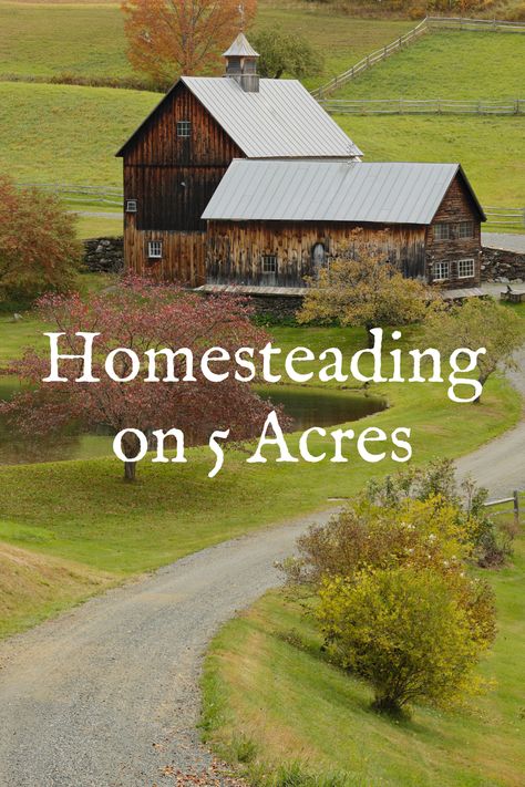 Homesteading on 5 Acres: How to Maximize Your Land - The Homesteading Way How Many Acres For Homestead, Urban Homestead Layout, Homestead Layout Ideas, 6 Acre Homestead Layout, Dream Farm Layout, 10 Acres Of Land Layout, Homestead Garden Layout Small Farm, Homesteading Uk, Small Homestead Ideas