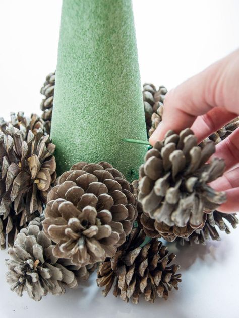 Turn Pine Cones Into a Tabletop Christmas Tree | HGTV Holiday Pine Cones, Large Pine Cones, Pine Cone Tree, Pine Cone Christmas Tree, Pine Cone Art, Christmas Pine Cones, Diy Pinecone, Cone Trees, Cone Christmas Trees