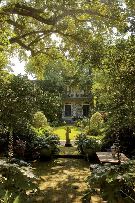 Evergreen Backyard, Small Courtyard Ideas, Book And Cat, Colonial Garden, Charleston Gardens, Uk Houses, Garden Plot, Narrow Garden, Small Garden Landscape