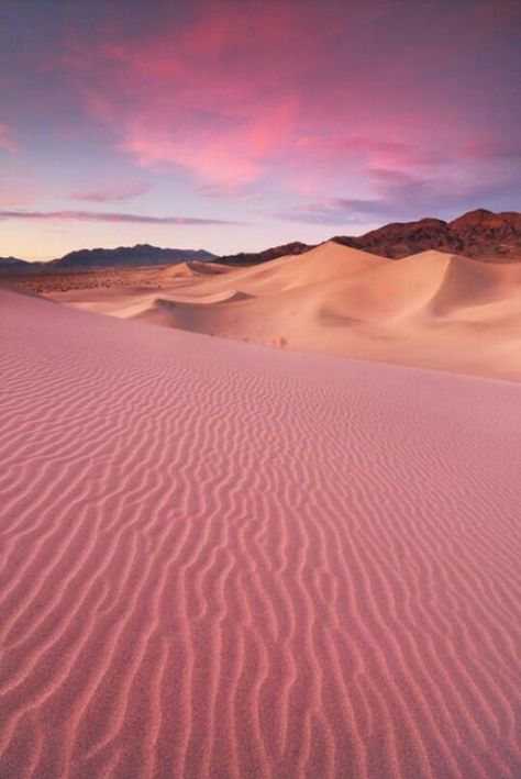 Pink desert sands وادي رم, Matka Natura, Pink Desert, Desert Dream, Wadi Rum, Pink Sand, Amman, Sand Dunes, The Desert