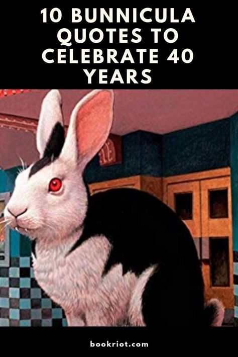 Happy 40th, Bunnicula.   book quotes | quotes from children's books | bunnicula quotes Bunnicula Tattoo, Bunnicula Book, Quotes From Childrens Books, Middle Grade Books, Happy 40th, Ya Novels, Word Nerd, 10th Quotes, Grade Book