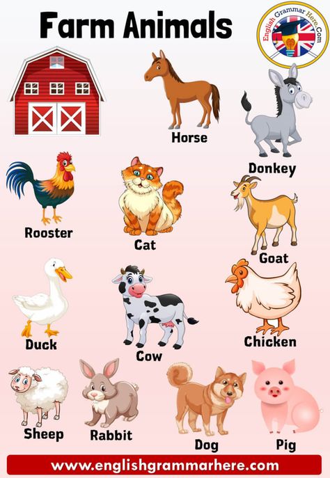 Farm Animals Names, Definition and Examples Farm Animals Farm animals are animals that feed in an environment. Livestock breeding can also be carried out to generate income, for example, from the milk of animals such as cows, goats, sheep; Hens ‘eggs and bees’ honey can benefit in this way. Such animals are mostly raised on the same farm. Some animals are raised on farms to produce products such as food and fiber. Animals Names List from A to Z Animal species are in some groups, for example; ... Farm Animals List, Animals Name With Picture, Animals Name List, Herbivorous Animals, Farm Animals Pictures, Animals Name In English, Animal Pictures For Kids, Disiplin Anak, Farm Animals Preschool