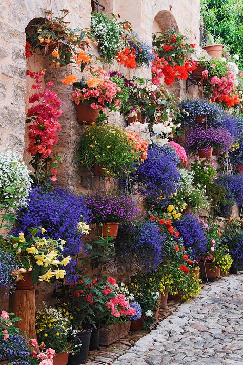 Plantas Exterior, Hanging Plants Outdoor, نباتات منزلية, The Secret Garden, Beautiful Flowers Garden, Plants And Flowers, Landscape Nature, Garden Cottage, Umbria