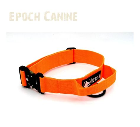 Epoch Canine Tactical Shepherd Training (dog harnesses) Tactical Dog Collar, Orange Dog Collar, Orange Dog, Large Dog Collars, Lab Puppy, Dog Harnesses, Dog Training Collar, Training Collar, Dog Gear