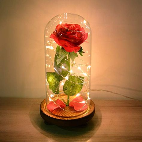 Gold Dipped Rose, Landscaping With Roses, Rose Dome, Rose In A Glass, Glowing Flowers, Rose Belle, Enchanted Rose, Forever Rose, 3d Rose