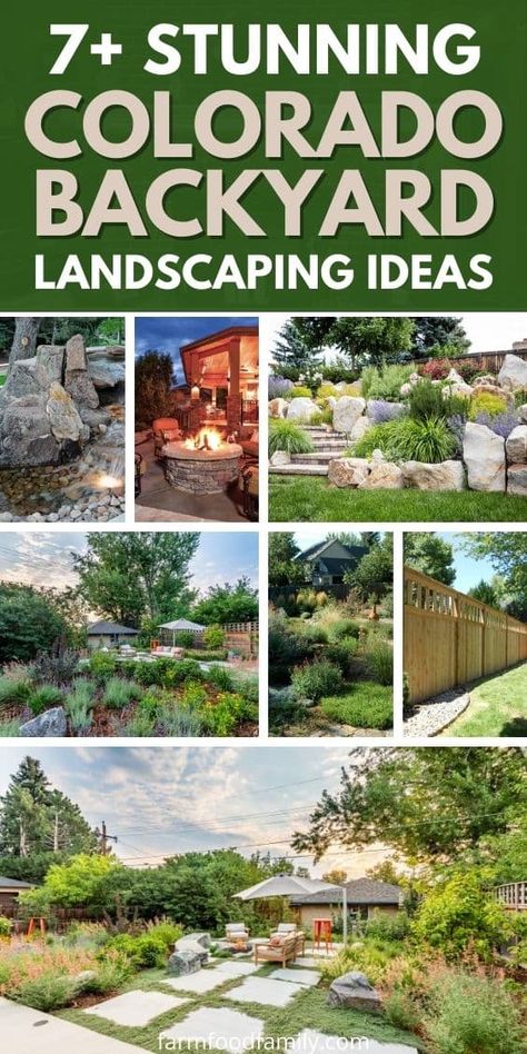 7 Stunning Colorado Backyard Landscaping Ideas and Designs (Photos) Xeriscape Landscaping Backyard, Xeroscaping Backyard, Water Wise Front Yard, Garden Ideas For Beginners, Frontyard Landscape Layout, Colorado Backyard, Colorado Landscaping, Meditative Space, Waterwise Landscaping