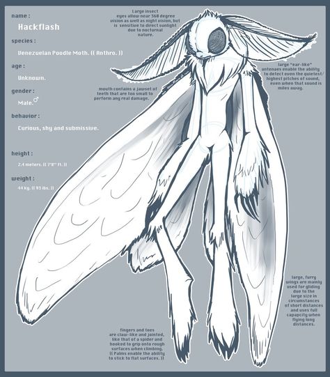 ..: PRE-REF :: Hackflash :.. by porcuMoose.deviantart.com on @DeviantArt Venezuelan Poodle Moth, Poodle Moth, Anthro Moth, Grimoire Book, Creature Design, Art Reference Photos, Character Design Inspiration, Character Inspiration, Moth