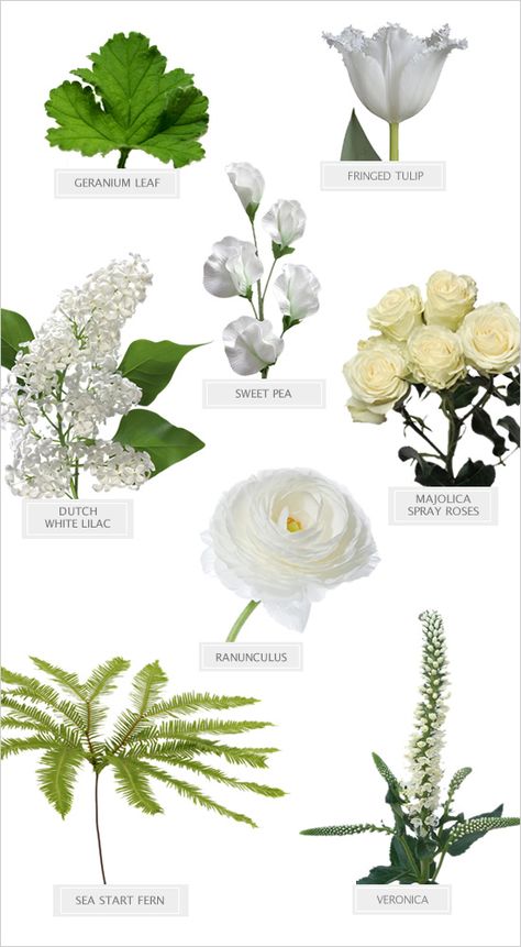 Winter White Bouquet Recipe #diy #bouquetrecipe #weddingchicks http://www.weddingchicks.com/2014/03/28/winter-white-bouquet-recipe/ Trendy Bouquet, Bouquet Recipes, Flower Recipe, Thistle Bouquet, Bouquet Recipe, Flower Chart, Flower Types, Spanish Garden, Earthy Wedding