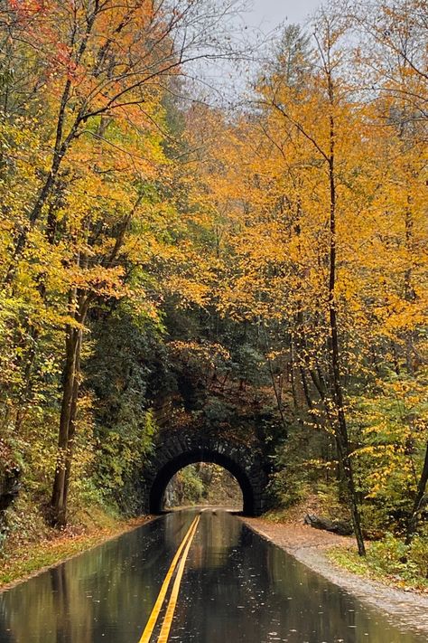 Autumn In Tennessee, Gatlinburg Tennessee Mountains, Life In Tennessee, Gatlinburg Tennessee Photography, Pictures Of Tennessee, Franklin Tennessee Photography, Nashville Tennessee Fall, Fall In East Tennessee, Gatlinburg Tennessee Pictures