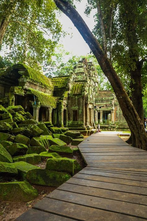 Geography Facts, Ta Prohm, Gap Year Travel, Tokyo Japan Travel, Cambodia Travel, Siem Reap Cambodia, French Colonial, Exotic Places, Siem Reap