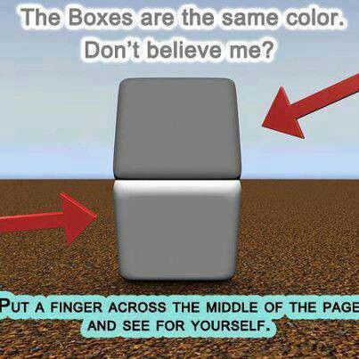 Color Optical Illusions, Amazing Optical Illusions, Friday Pictures, Eye Tricks, Cool Illusions, Cool Optical Illusions, Visual Illusion, Brain Tricks, Friday Humor