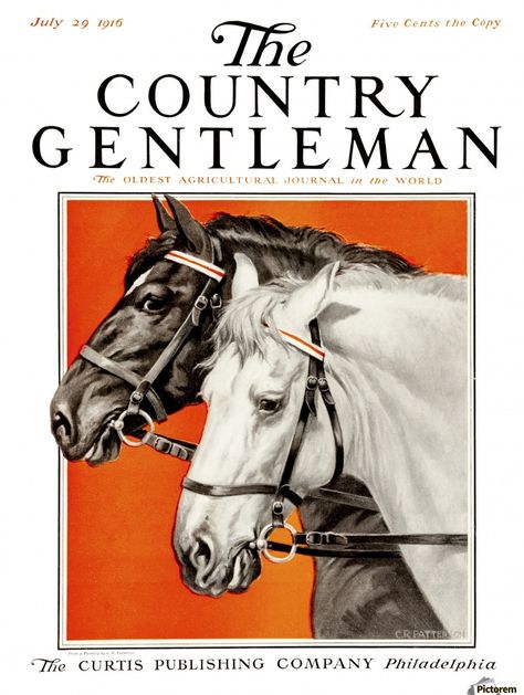 Horse Art Drawing, Country Gentleman, English Horse, Horse Illustration, Color Study, Equestrian Art, Horse Drawings, Equine Art, Horse Art