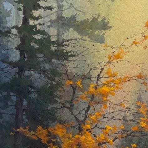 Cindy Baron on Instagram: "“Fall Classic” 20x10 watercolor. #watercolors #gouache #transparent #opaque #fineartpaintings #trees #fallcolors #goldencolors #atmospheric #paintingmoods #watercolorandgouache #pinetrees" Cindy Baron Watercolor, Autumn Tree Watercolor, Autumn Trees Watercolor, Watercolor Aspen Trees, Fall Trees Painting, Cindy Baron, Autumn Trees Painting, Watercolor Transparency, Watercolour Trees