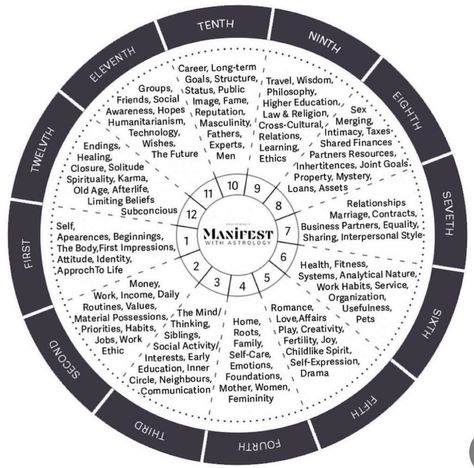 descriptions of your house Destiny Matrix Chart Meaning, Cool Powers For Characters, Zodiac Archetypes, Spirituality Notes, Houses Astrology, Astrology Basics, Career Astrology, Star Facts, Astrology Houses