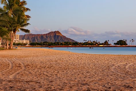 The Beach That Makes Me Appreciate Hawaii Ocean Foam, Ala Moana Beach, Miss Hawaii, Ala Moana, Beach Park, Waikiki Beach, Oahu Hawaii, Trip Ideas, Travel News