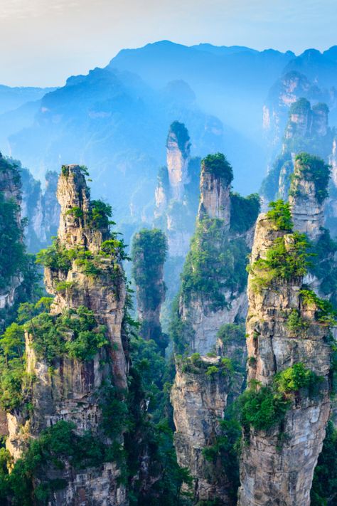 This scenic destination in China’s Hunan province is known for its 3,000 quartzite sandstone pillars. In ancient times it was considered remote and inaccessible. Apart from being one of the most beautiful natural places in the world, it is now a popular tourist spot, and the pillars are said to be similar to the floating mountains of Pandora in the film ‘Avatar‘. Where to see: Zhangjiajie National Forest Park in the Hunan Province, China Here are some beautiful natural places in the world: Mountain Landscape Photography, Zhangjiajie, Beautiful Forest, Places In The World, Beautiful Landscape Wallpaper, Beautiful Places Nature, Tourist Spots, China Travel, Tourist Places